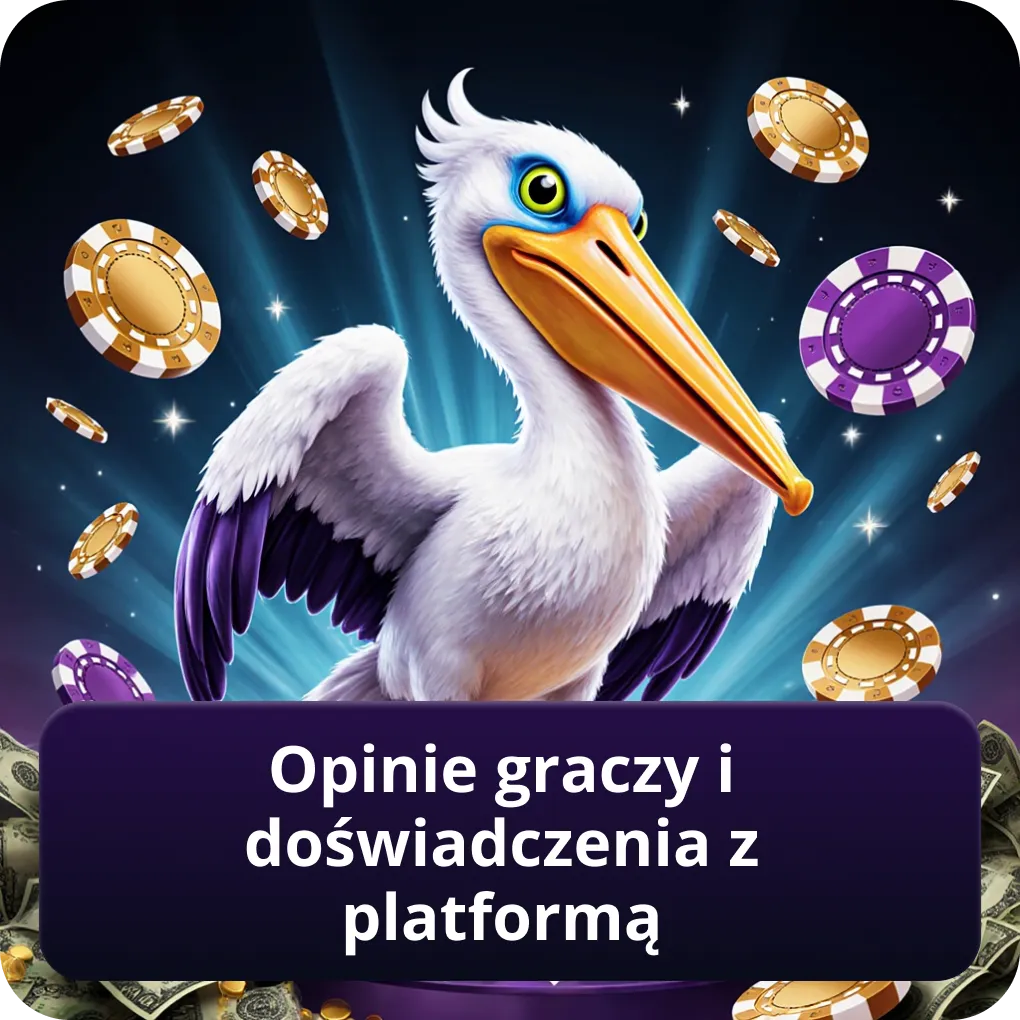 Opinie graczy i doświadczenia z platformą